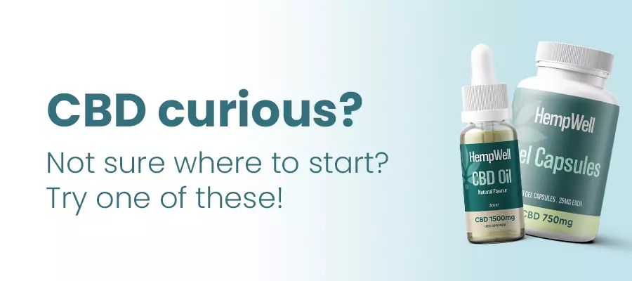 cbd curious banner